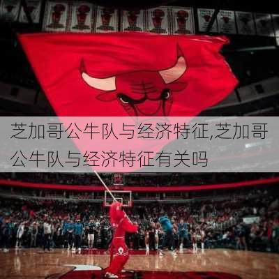 芝加哥公牛队与经济特征,芝加哥公牛队与经济特征有关吗