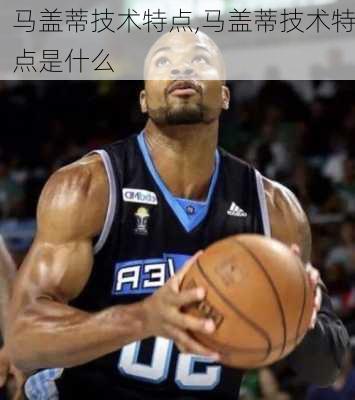 马盖蒂技术特点,马盖蒂技术特点是什么