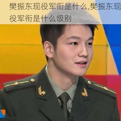 樊振东现役军衔是什么,樊振东现役军衔是什么级别