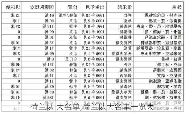 荷兰队 大名单,荷兰队大名单一览表
