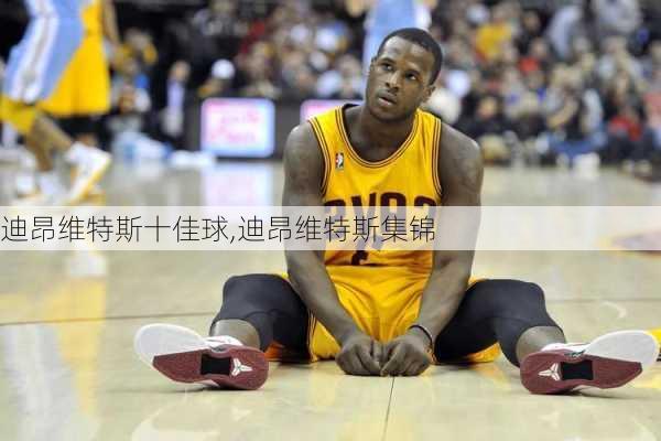 迪昂维特斯十佳球,迪昂维特斯集锦