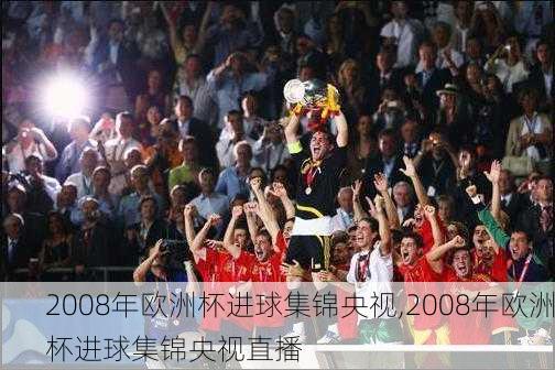 2008年欧洲杯进球集锦央视,2008年欧洲杯进球集锦央视直播