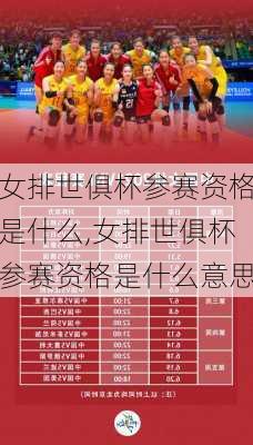 女排世俱杯参赛资格是什么,女排世俱杯参赛资格是什么意思