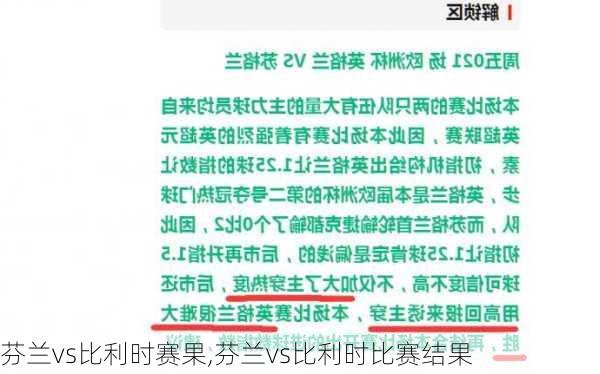 芬兰vs比利时赛果,芬兰vs比利时比赛结果