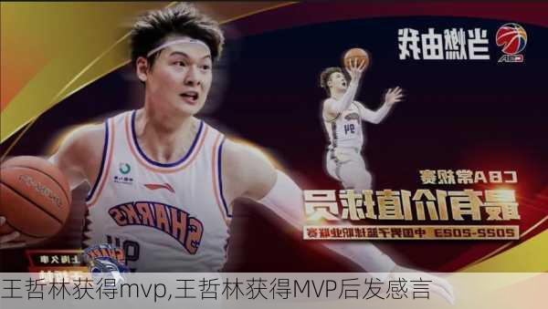 王哲林获得mvp,王哲林获得MVP后发感言