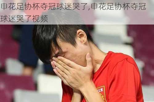 申花足协杯夺冠球迷哭了,申花足协杯夺冠球迷哭了视频