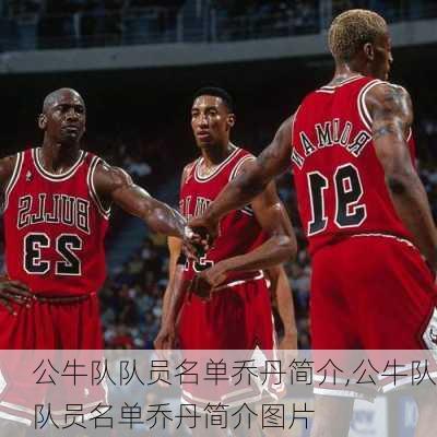 公牛队队员名单乔丹简介,公牛队队员名单乔丹简介图片