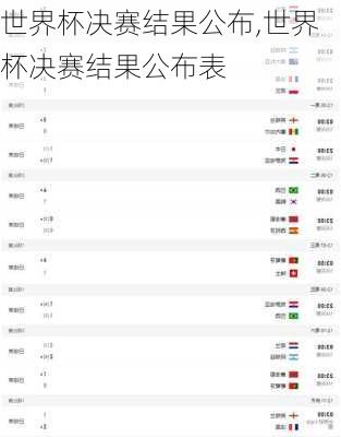 世界杯决赛结果公布,世界杯决赛结果公布表