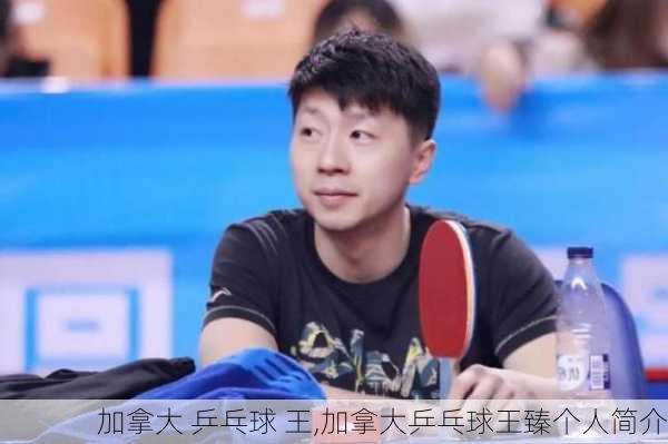 加拿大 乒乓球 王,加拿大乒乓球王臻个人简介