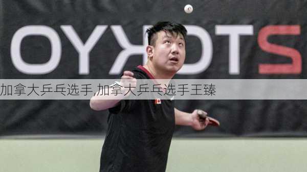 加拿大乒乓选手,加拿大乒乓选手王臻