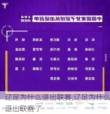 辽足为什么退出联赛,辽足为什么退出联赛了