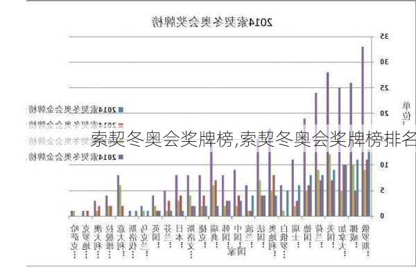 索契冬奥会奖牌榜,索契冬奥会奖牌榜排名