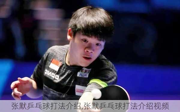 张默乒乓球打法介绍,张默乒乓球打法介绍视频