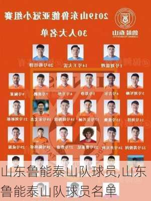 山东鲁能泰山队球员,山东鲁能泰山队球员名单