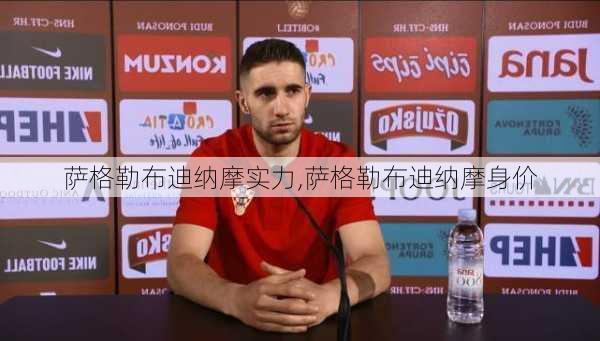 萨格勒布迪纳摩实力,萨格勒布迪纳摩身价