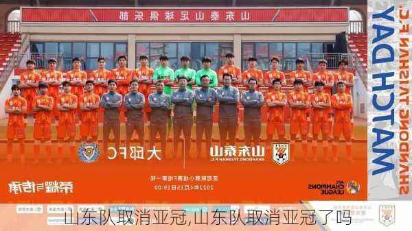 山东队取消亚冠,山东队取消亚冠了吗