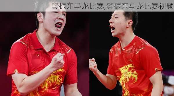 樊振东马龙比赛,樊振东马龙比赛视频
