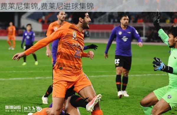 费莱尼集锦,费莱尼进球集锦