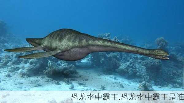恐龙水中霸主,恐龙水中霸主是谁