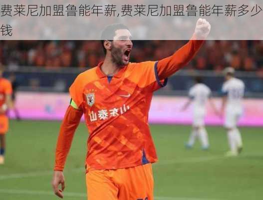 费莱尼加盟鲁能年薪,费莱尼加盟鲁能年薪多少钱