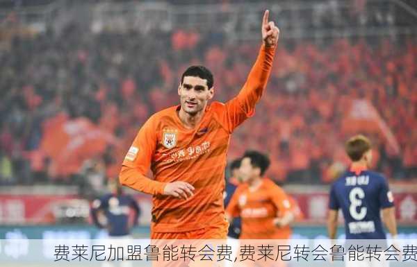 费莱尼加盟鲁能转会费,费莱尼转会鲁能转会费