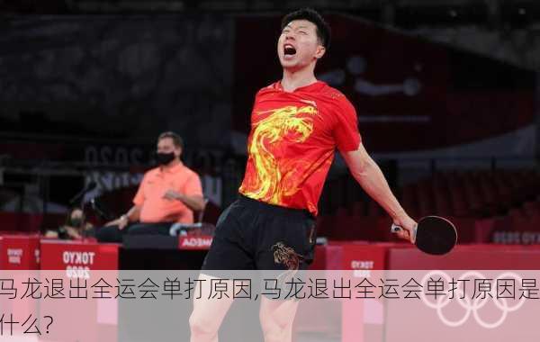 马龙退出全运会单打原因,马龙退出全运会单打原因是什么?
