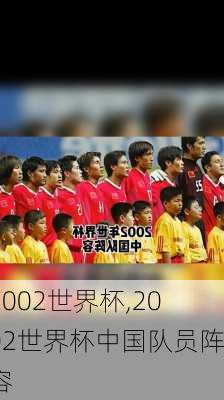 2002世界杯,2002世界杯中国队员阵容