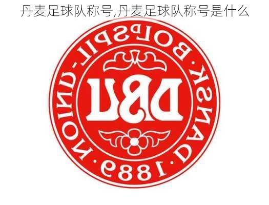 丹麦足球队称号,丹麦足球队称号是什么