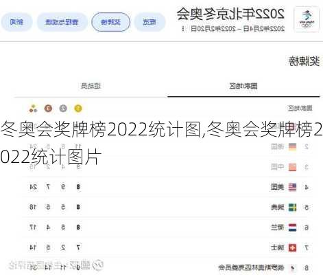 冬奥会奖牌榜2022统计图,冬奥会奖牌榜2022统计图片