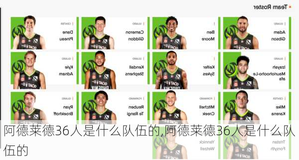 阿德莱德36人是什么队伍的,阿德莱德36人是什么队伍的