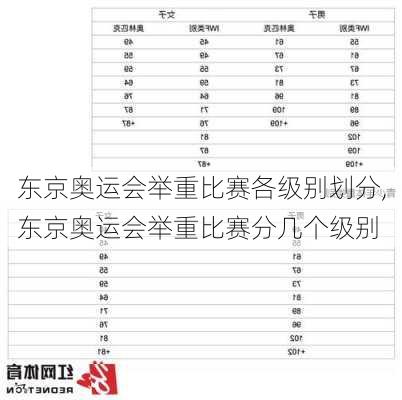 东京奥运会举重比赛各级别划分,东京奥运会举重比赛分几个级别