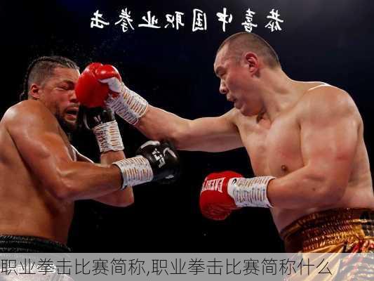 职业拳击比赛简称,职业拳击比赛简称什么