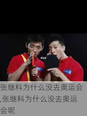 张继科为什么没去奥运会,张继科为什么没去奥运会呢