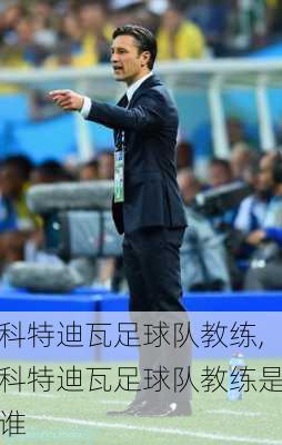 科特迪瓦足球队教练,科特迪瓦足球队教练是谁