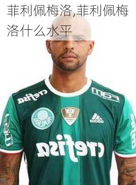 菲利佩梅洛,菲利佩梅洛什么水平