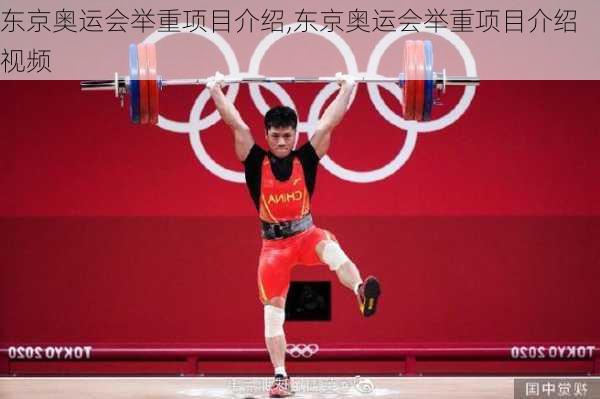 东京奥运会举重项目介绍,东京奥运会举重项目介绍视频
