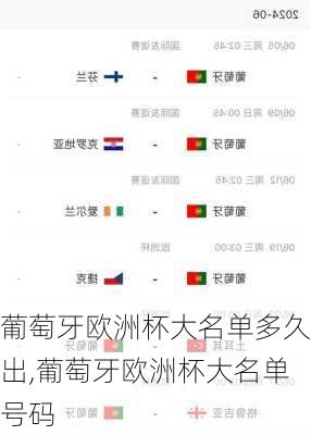 葡萄牙欧洲杯大名单多久出,葡萄牙欧洲杯大名单号码