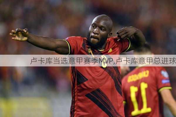 卢卡库当选意甲赛季MVP,卢卡库意甲总进球