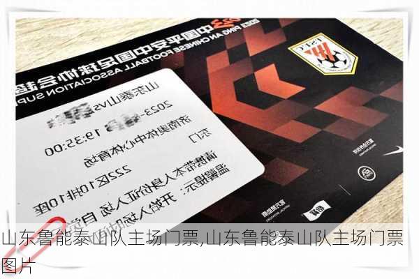山东鲁能泰山队主场门票,山东鲁能泰山队主场门票图片