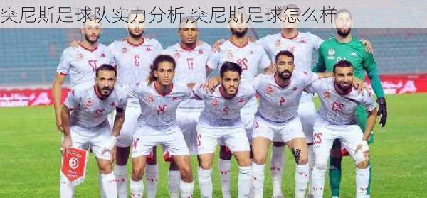 突尼斯足球队实力分析,突尼斯足球怎么样