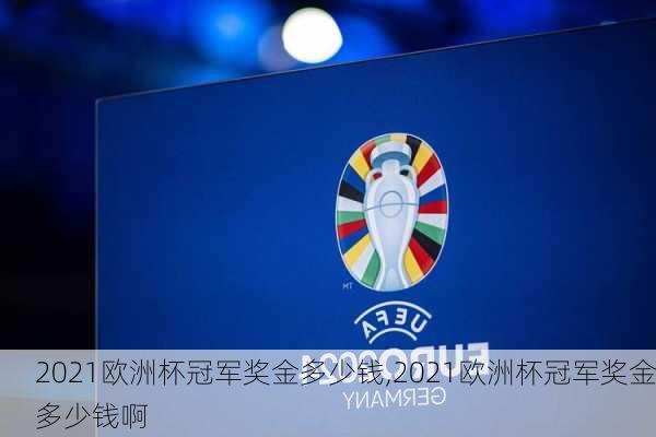 2021欧洲杯冠军奖金多少钱,2021欧洲杯冠军奖金多少钱啊