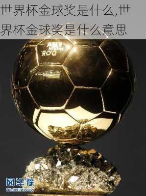 世界杯金球奖是什么,世界杯金球奖是什么意思
