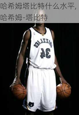 哈希姆塔比特什么水平,哈希姆-塔比特