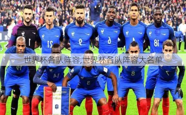世界杯各队阵容,世界杯各队阵容大名单