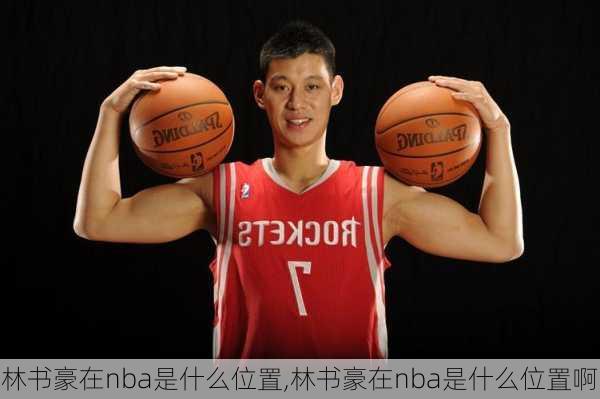 林书豪在nba是什么位置,林书豪在nba是什么位置啊