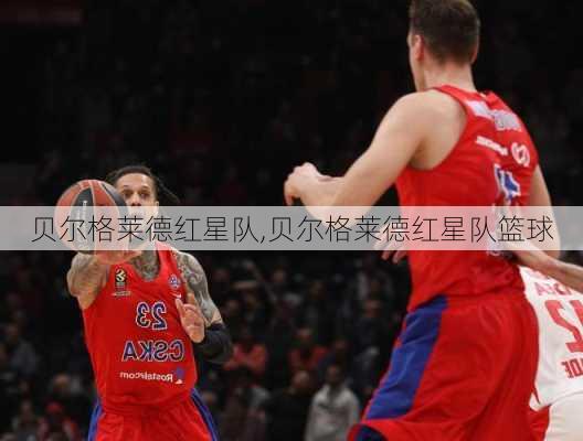 贝尔格莱德红星队,贝尔格莱德红星队篮球