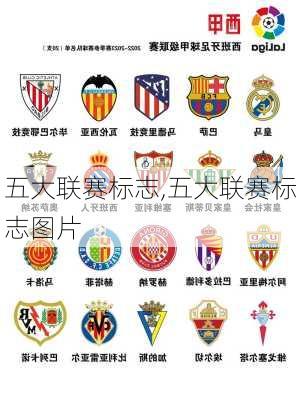 五大联赛标志,五大联赛标志图片
