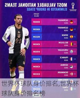 世界杯球队身价排名,世界杯球队身价排名榜