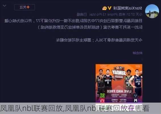 凤凰队nbl联赛回放,凤凰队nbl联赛回放在哪看