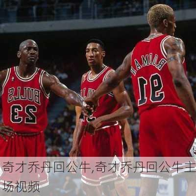 奇才乔丹回公牛,奇才乔丹回公牛主场视频